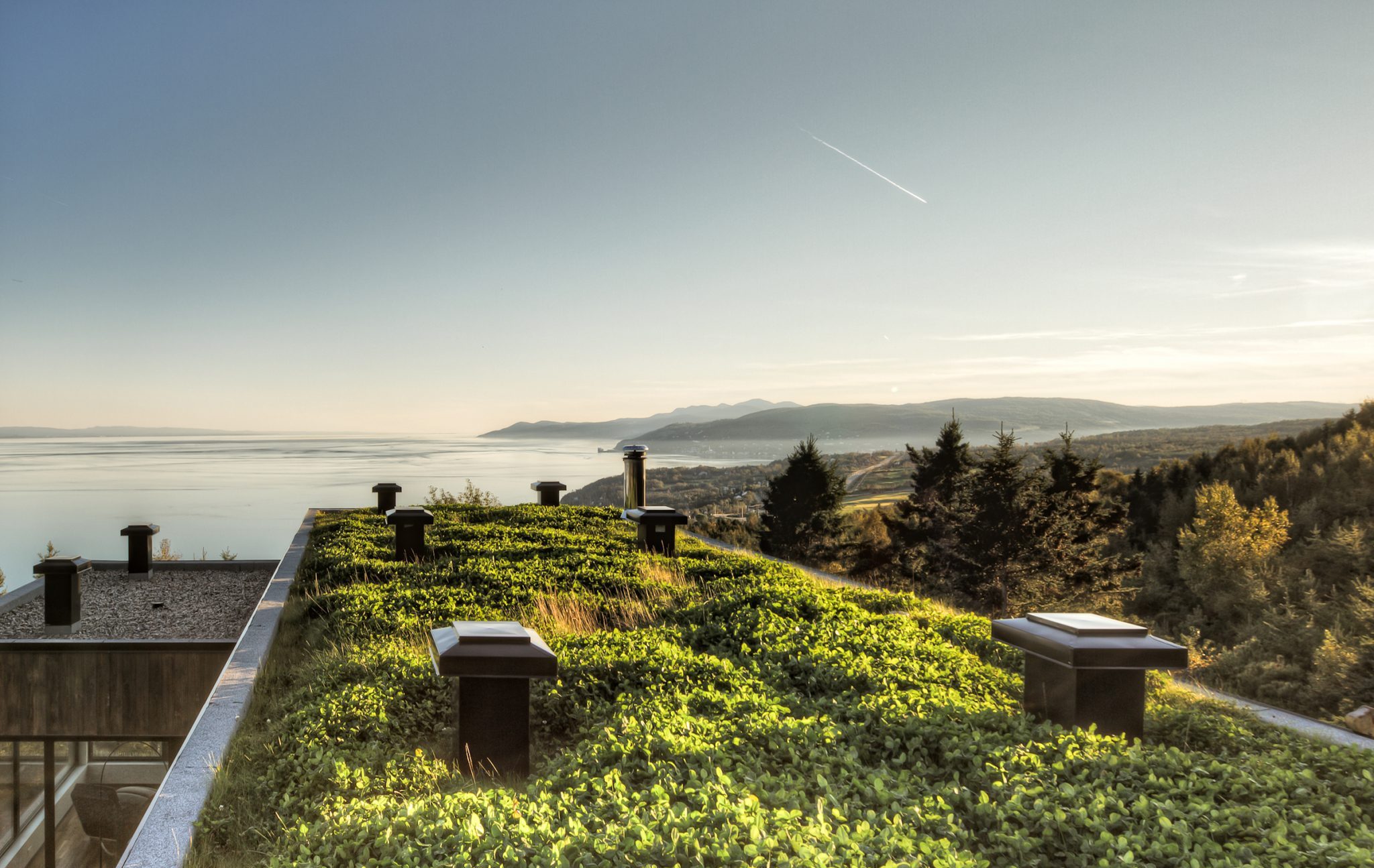 Green Roofs: A Solution that benefits everyone